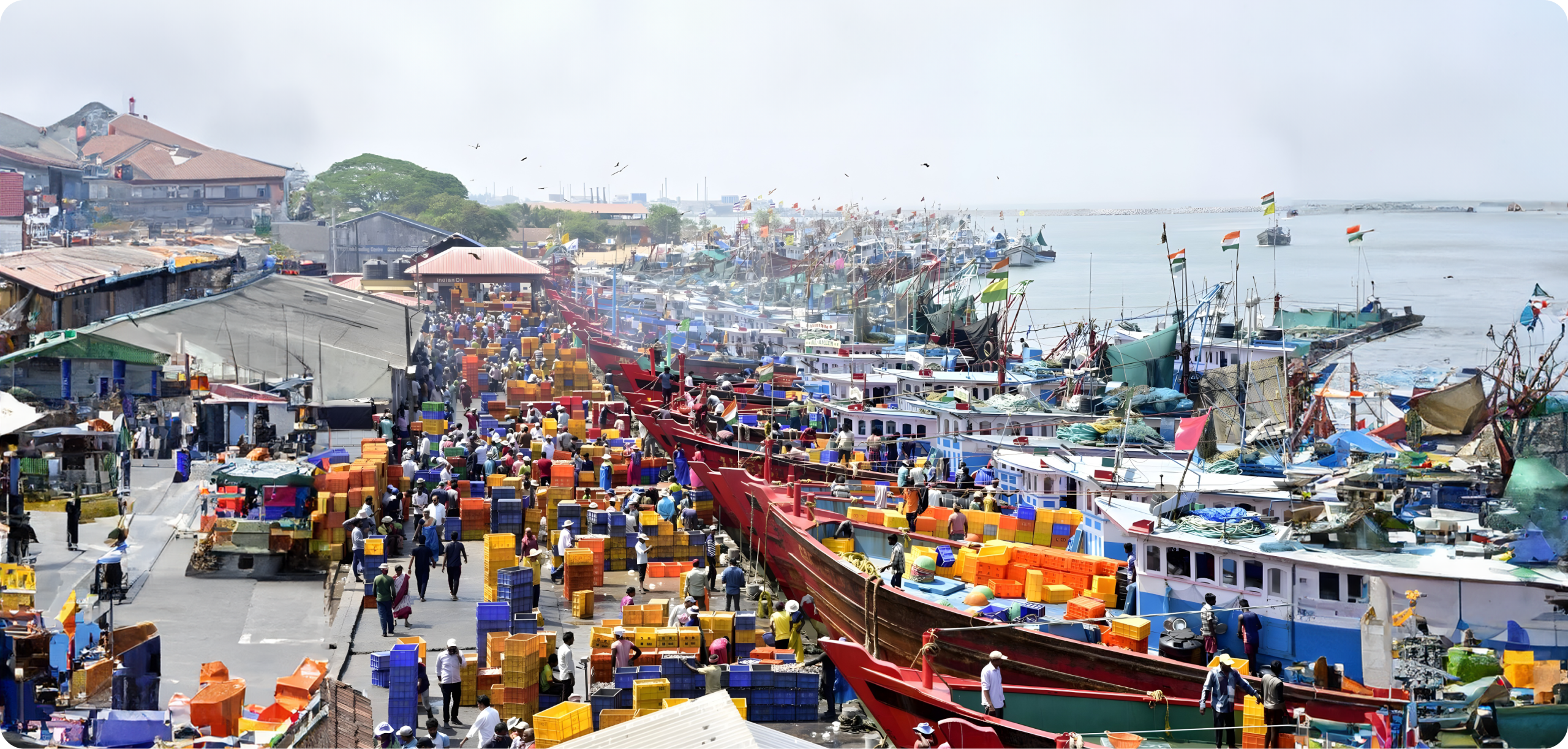 The need for a producer led collective